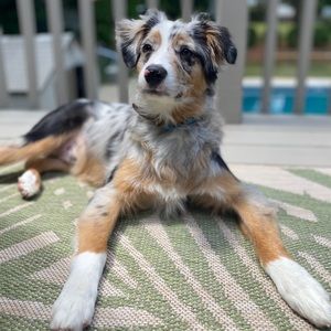 Meet your Posher, Natalie